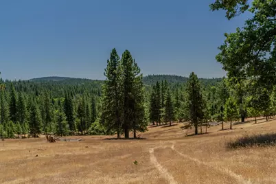 7401 Schaad Road, Wilseyville, CA 95257 - Photo 70