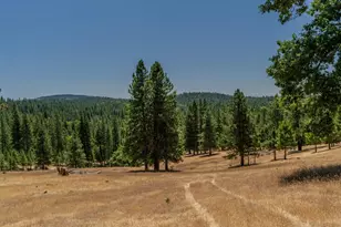 7401 Schaad Rd, Wilseyville, CA 95257 - Photo 70