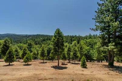 7401 Schaad Road, Wilseyville, CA 95257 - Photo 48