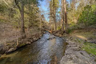 7401 Schaad Rd, Wilseyville, CA 95257 - Photo 8