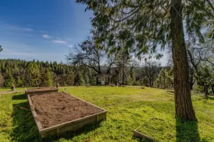 7401 Schaad Rd, Wilseyville, CA 95257 - Photo 60