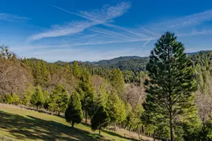 7401 Schaad Rd, Wilseyville, CA 95257 - Photo 62