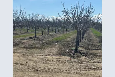 28872 Hurlbut Street, Madison, CA 95653 - Photo 18