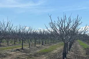 28872 Hurlbut St, Madison, CA 95653 - Photo 18