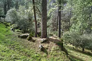 16947 Patricia Way, Grass Valley, CA 95949 - Photo 44