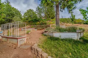 10285 Ponderosa Way, Pine Grove, CA 95665 - Photo 88