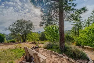 10285 Ponderosa Way, Pine Grove, CA 95665 - Photo 12