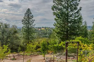 10285 Ponderosa Way, Pine Grove, CA 95665 - Photo 74