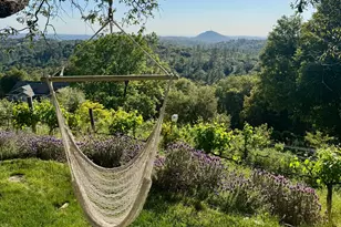 10285 Ponderosa Way, Pine Grove, CA 95665 - Photo 6