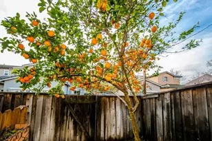 2578 Farmers Central Rd, Woodland, CA 95776 - Photo 32