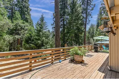 26476 Spring Road, Pioneer, CA 95666 - Photo 36