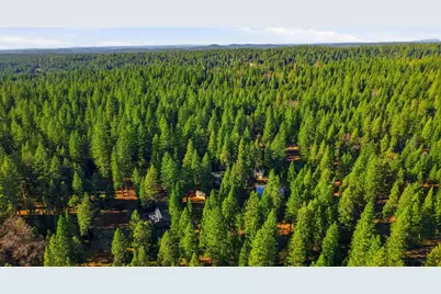 26476 Spring Road, Pioneer, CA 95666 - Photo 94