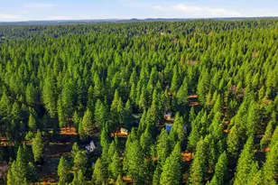 26476 Spring Rd, Pioneer, CA 95666 - Photo 94