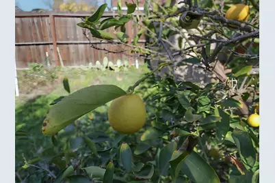 133 3rd Street, Woodland, CA 95695 - Photo 34