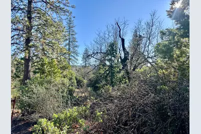 22600 Fiddletown Road, Fiddletown, CA 95209 - Photo 14