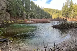 16 Woodruff Creek Rd, Goodyears Bar, CA 95944 - Photo 24