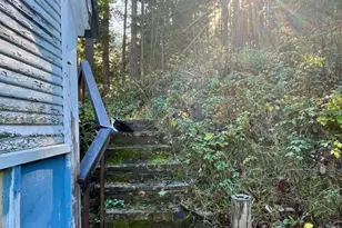 16 Woodruff Creek Rd, Goodyears Bar, CA 95944 - Photo 4