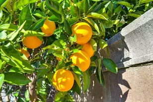 10889 Bellone Way, Rancho Cordova, CA 95670 - Photo 30