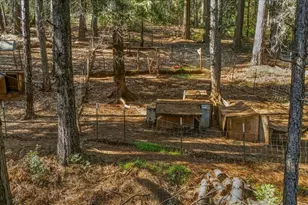 16243 Behr Mountain Rd, Grass Valley, CA 95945 - Photo 52