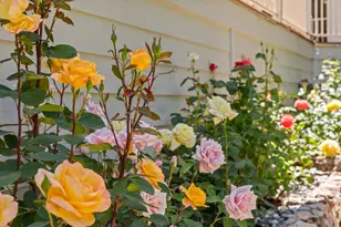 14986 Margot Ln, Pine Grove, CA 95665 - Photo 58