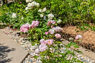 14986 Margot Ln, Pine Grove, CA 95665 - Photo 60