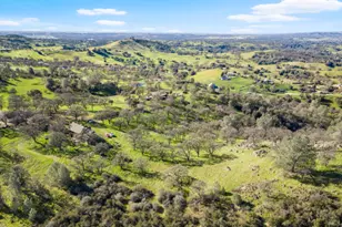 8251 Buffalo Ridge Rd, Ione, CA 95640 - Photo 60