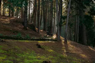 1325 Boole Rd, Applegate, CA 95703 - Photo 44