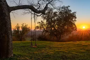 14899 Patton Rd, Plymouth, CA 95669 - Photo 40