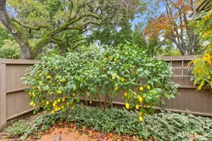 23 Adelphi Ct, Sacramento, CA 95825 - Photo 38