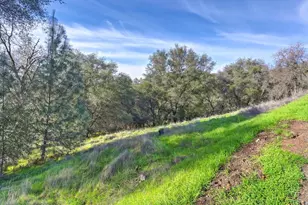 3900 Cold Stream Rd, Auburn, CA 95602 - Photo 36