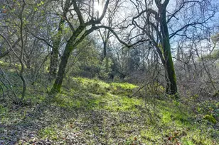 3900 Cold Stream Rd, Auburn, CA 95602 - Photo 38