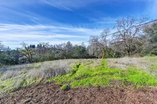 3900 Cold Stream Rd, Auburn, CA 95602 - Photo 48