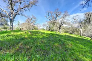 3900 Cold Stream Rd, Auburn, CA 95602 - Photo 28