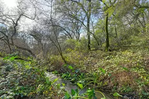 3900 Cold Stream Rd, Auburn, CA 95602 - Photo 40