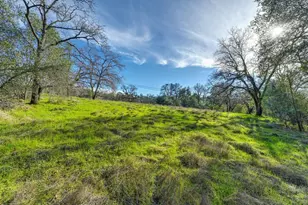 3900 Cold Stream Rd, Auburn, CA 95602 - Photo 44