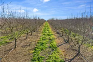 10393 Bradbury Rd, Ballico, CA 95303 - Photo 60