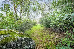 16004 Perimeter Rd, Grass Valley, CA 95949 - Photo 78