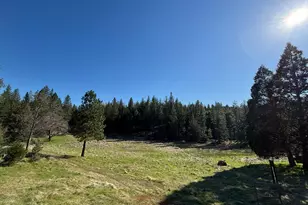 20455 Ponderosa Way, Fiddletown, CA 95629 - Photo 50