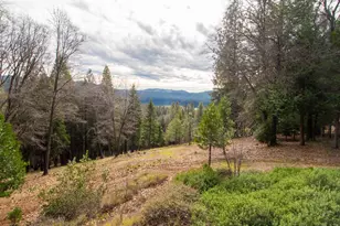 1231 Garnet Ct, Pollock Pines, CA 95726 - Photo 56