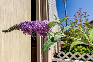 Dalewood Way, Grass Valley, CA 95949 - Photo 50