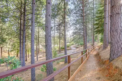 Dalewood Way, Grass Valley, CA 95949 - Photo 54