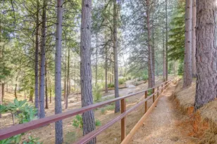 Dalewood Way, Grass Valley, CA 95949 - Photo 54