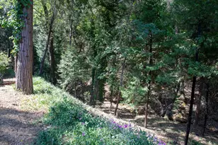 Irishtown Rd, Pine Grove, CA 95665 - Photo 36