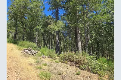 25840 Rollins Lake Road, Colfax, CA 95713 - Photo 16
