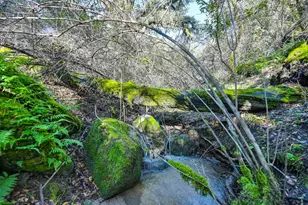 4656 Cosumnes View Trail, Placerville, CA 95667 - Photo 40