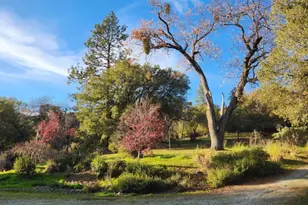 4656 Cosumnes View Trail, Placerville, CA 95667 - Photo 58