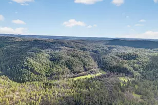 3930 Cedar Ravine Rd, Placerville, CA 95667 - Photo 56