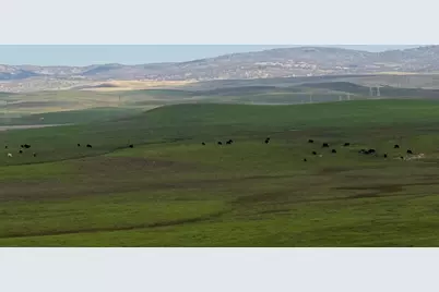 0 Dunton S Of Road, Oakdale, CA 95361 - Photo 12