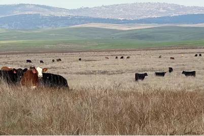 0 Dunton S Of Road, Oakdale, CA 95361 - Photo 10