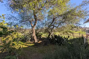 3436 Davis Dr, Burson, CA 95225 - Photo 12